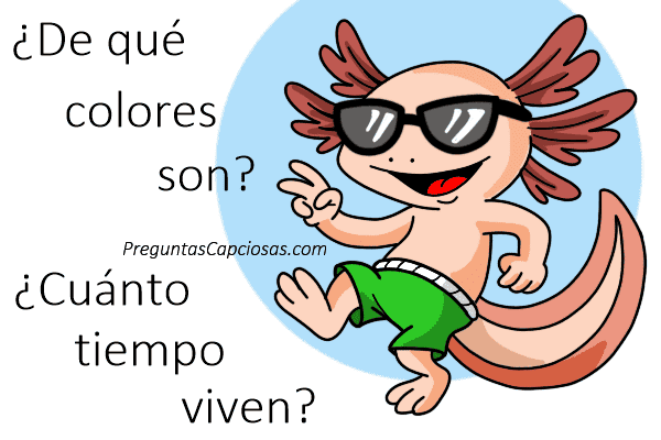 pregunta sobre ajolote educativas